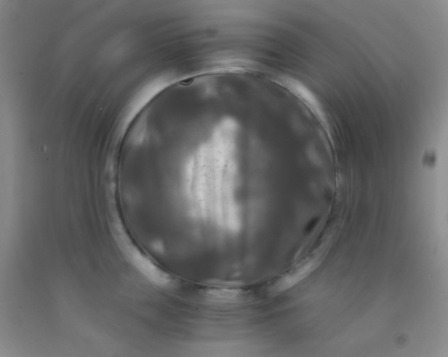 X0000092020859200709201550