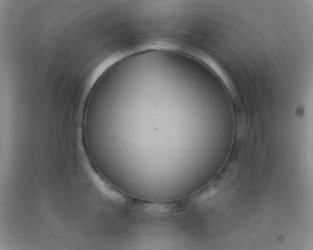 X0000092020861200709201550