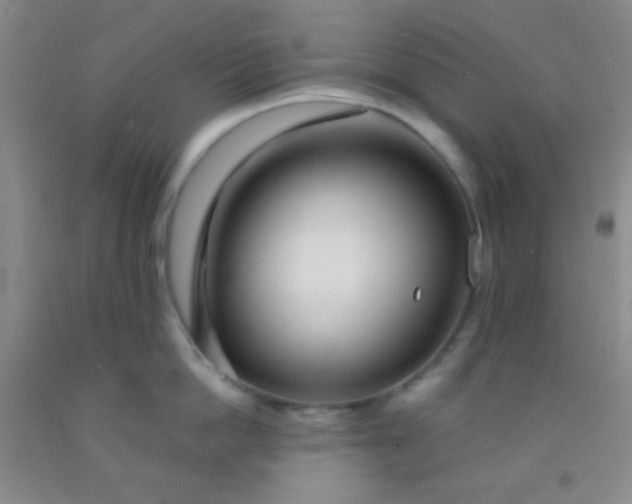 X0000092020862200709201550