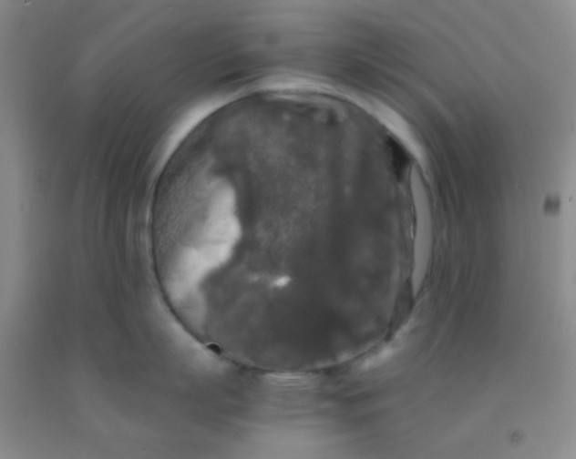 X0000092020863200709201550