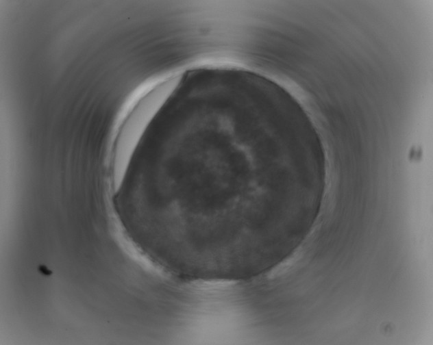 X0000092020864200709201550