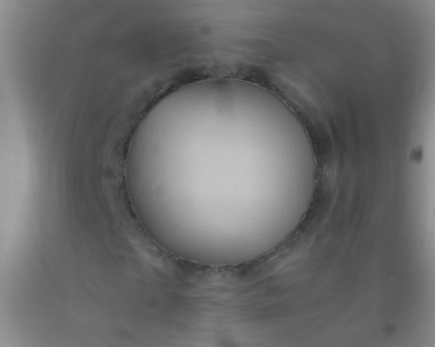 X0000092020865200709201550