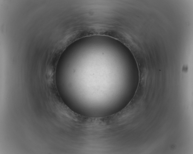 X0000092020866200709201550