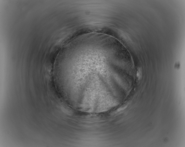 X0000092020867200709201550