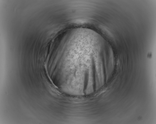 X0000092020868200709201550