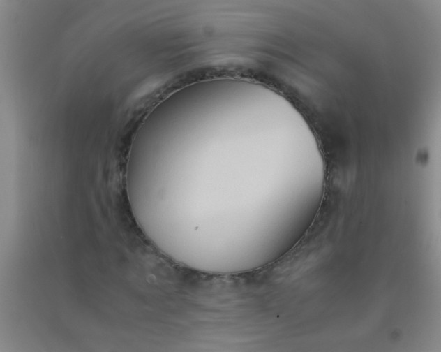 X0000092020869200709201550