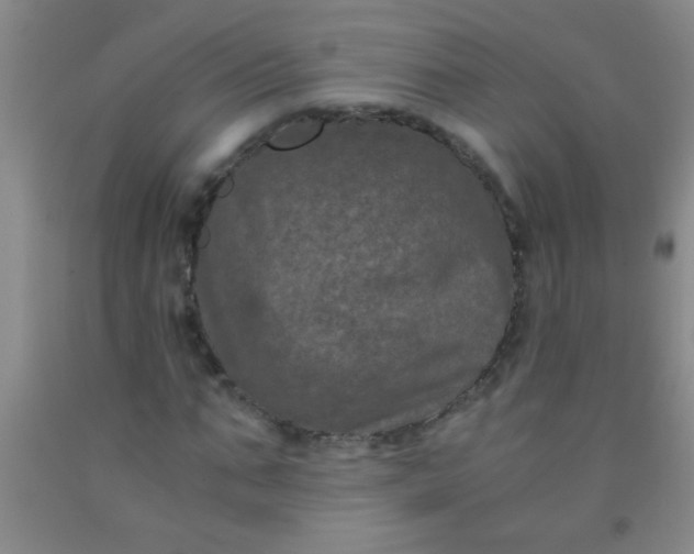 X0000092020871200709201550