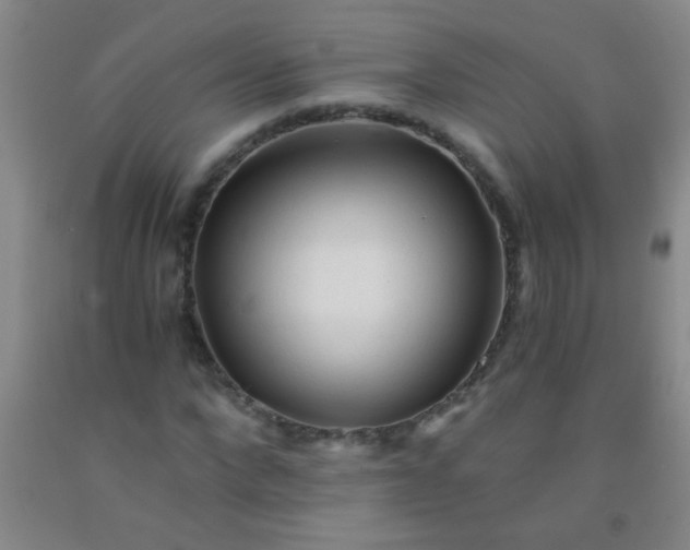 X0000092020872200709201550