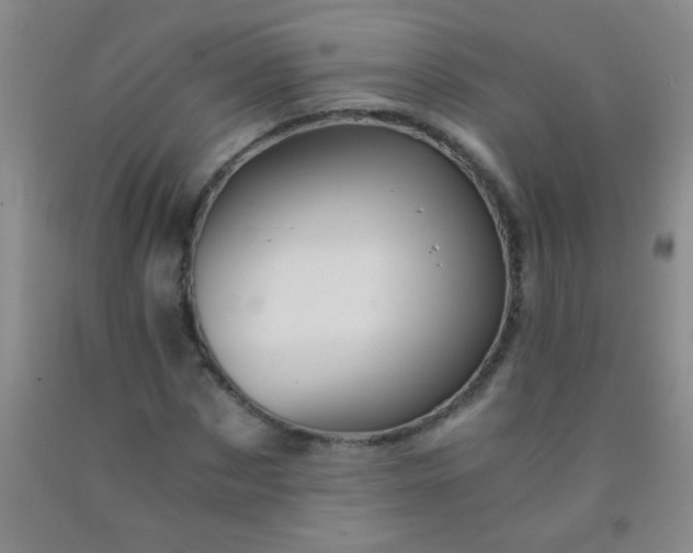 X0000092020873200709201550