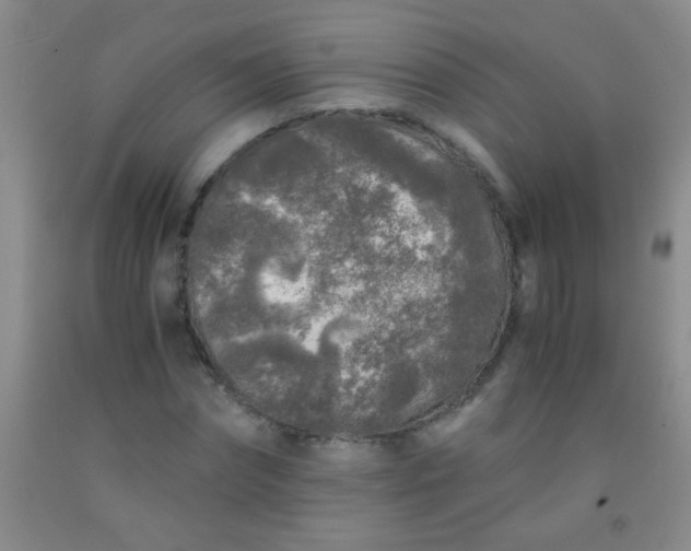 X0000092020874200709201550