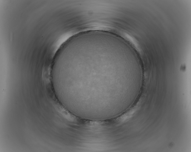 X0000092020875200709201549