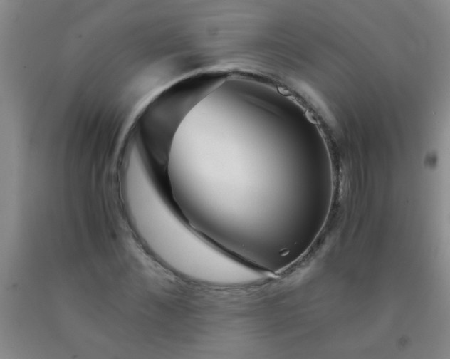 X0000092020876200709201549