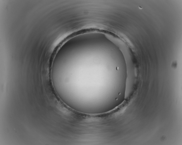 X0000092020877200709201549