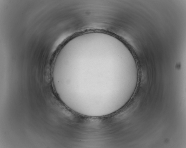 X0000092020878200709201549