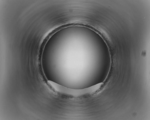 X0000092020880200709201549