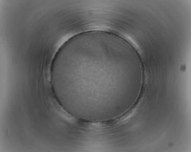 X0000092020883200709201549