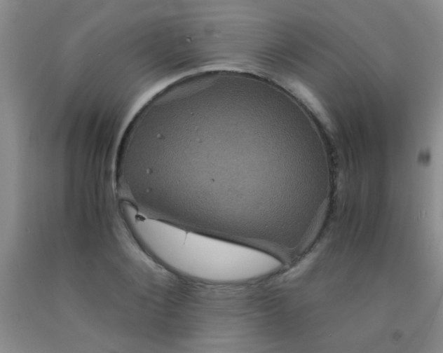 X0000092020884200709201549