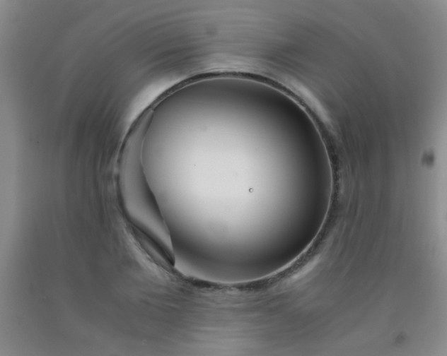 X0000092020885200709201549