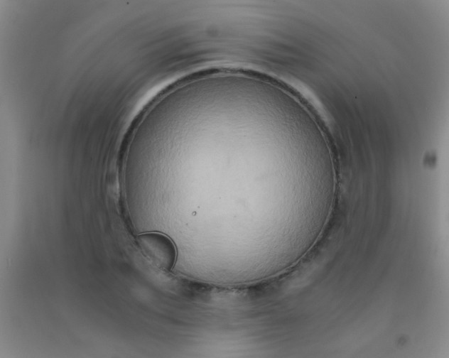 X0000092020887200709201549