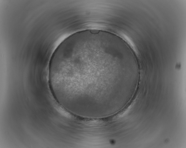 X0000092020891200709201549