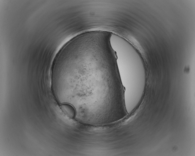 X0000092020892200709201549