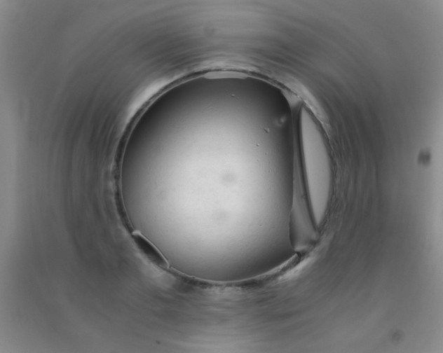 X0000092020893200709201549