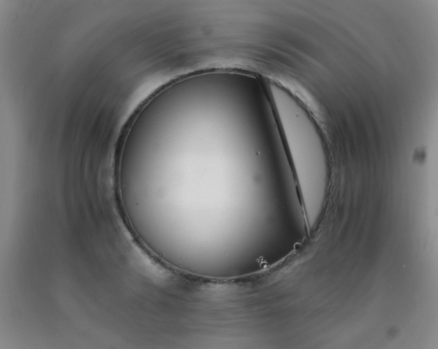 X0000092020894200709201549