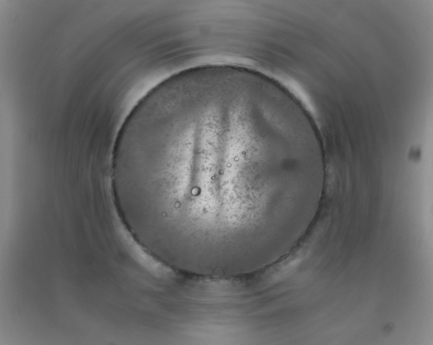 X0000092020895200709201549