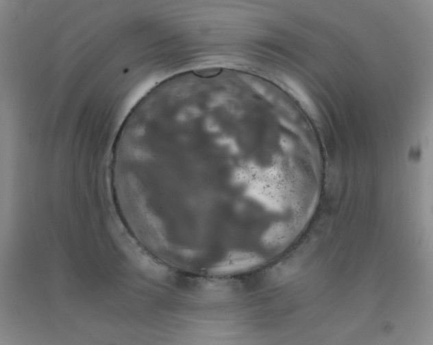 X0000092020899200709201549