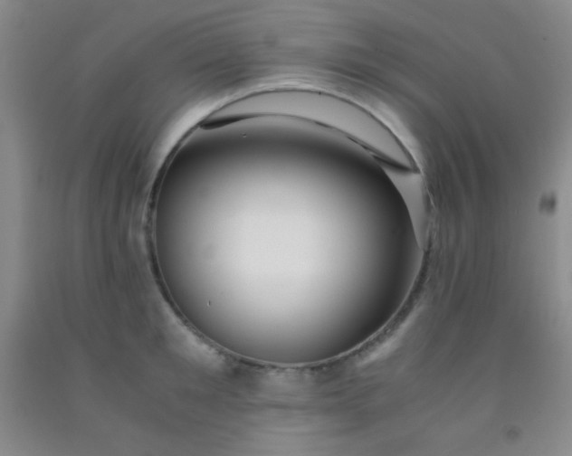 X0000092020901200709201549