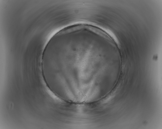 X0000092020903200709201549