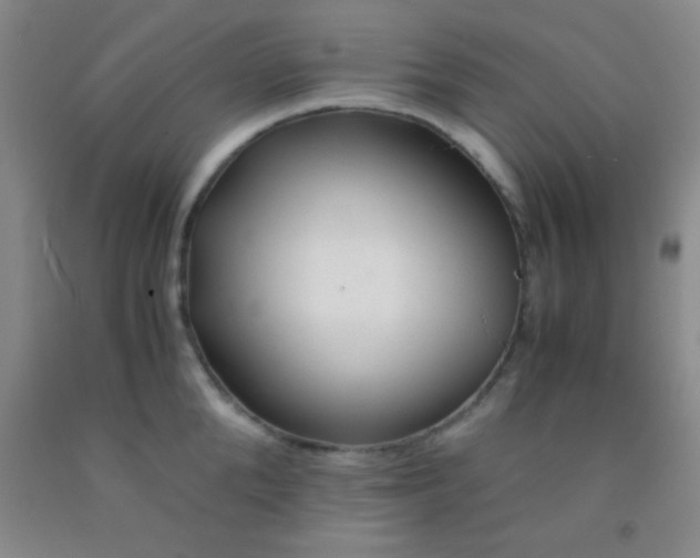 X0000092020904200709201549