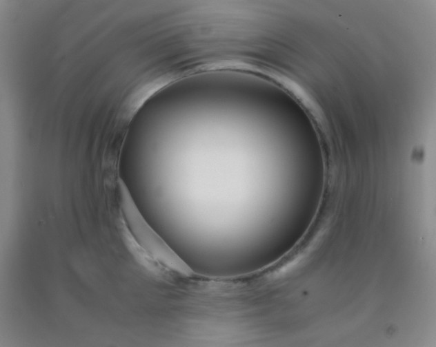 X0000092020905200709201549