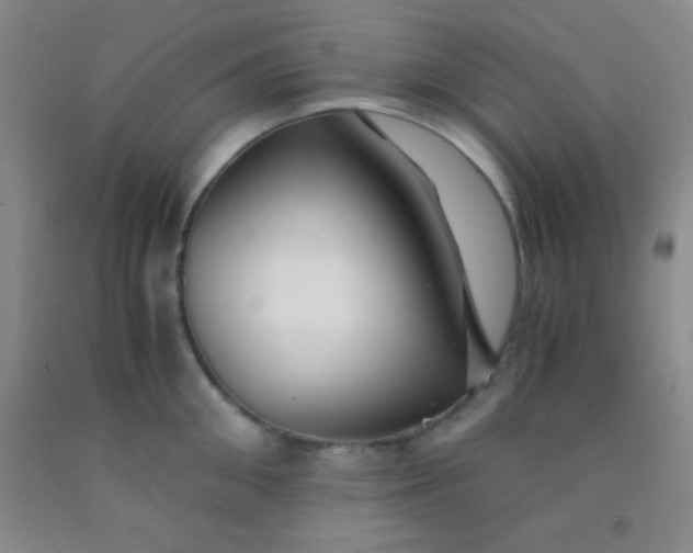 X0000092020906200709201549