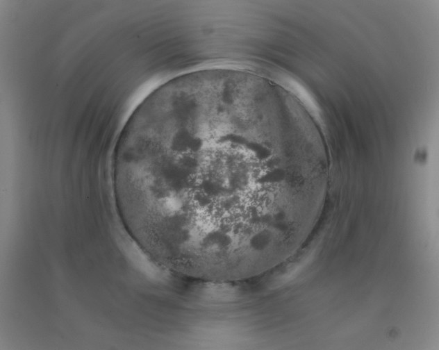 X0000092020907200709201549