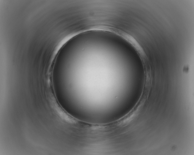 X0000092020908200709201549