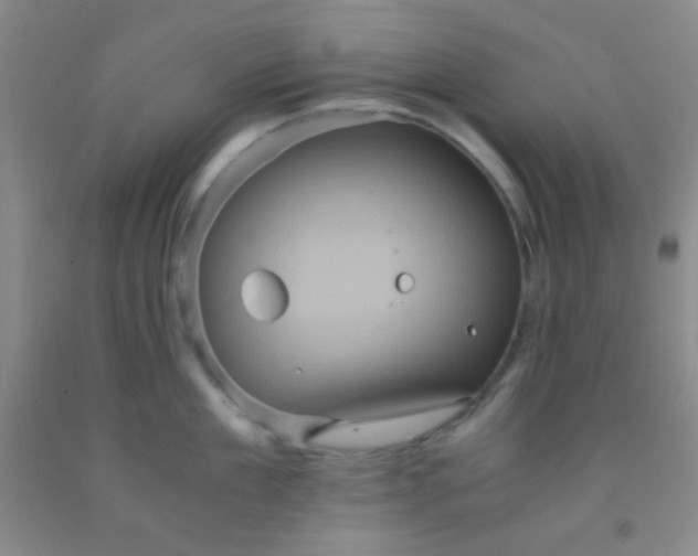 X0000092020909200709201549