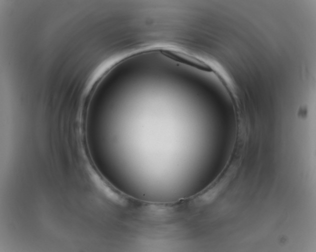 X0000092020910200709201549