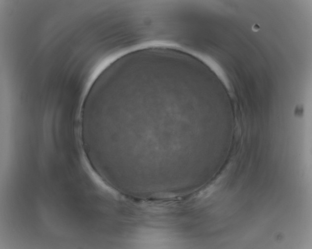 X0000092020911200709201549