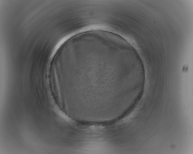 X0000092020912200709201549