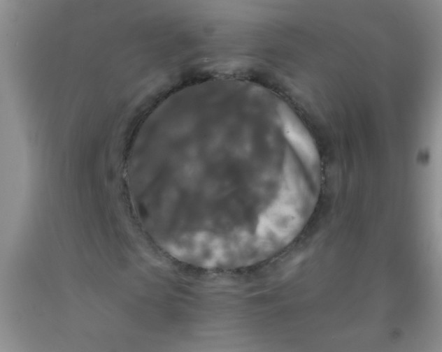 X0000092020913200709201548