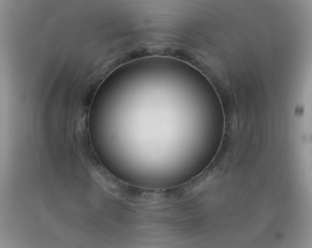 X0000092020914200709201548