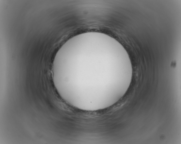 X0000092020916200709201548