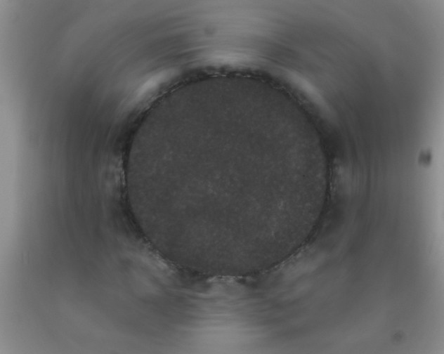 X0000092020918200709201549