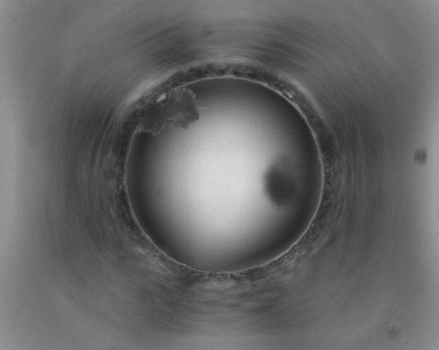 X0000092020919200709201549