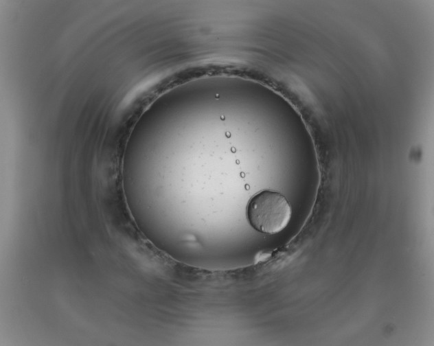 X0000092020920200709201549