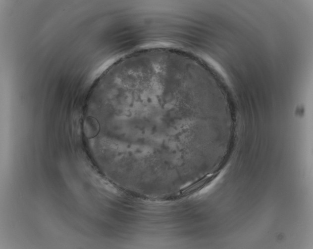 X0000092020921200709201549