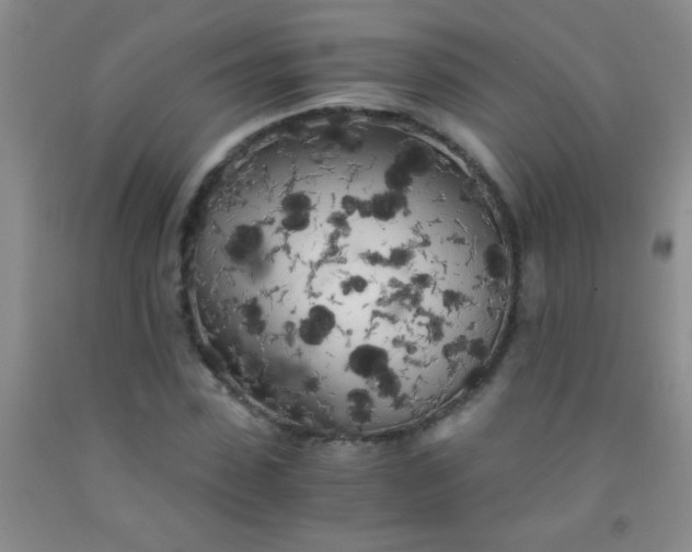 X0000092020923200709201549