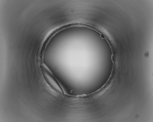 X0000092020924200709201549