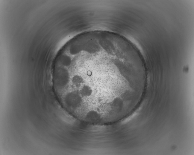 X0000092020925200709201549